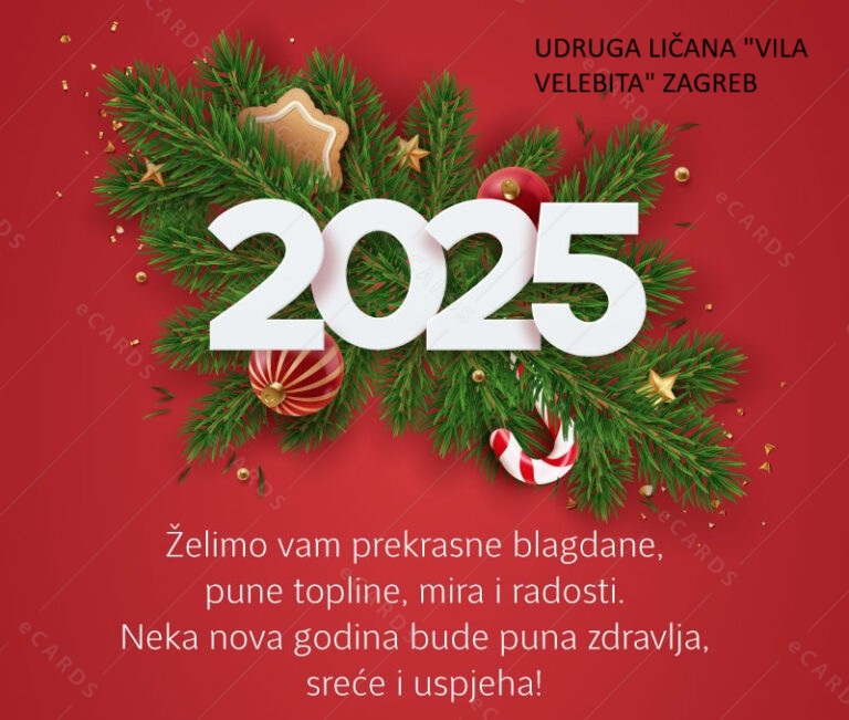 ČESTITKA VILA